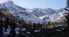 forest_meadows_094.jpg