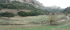 landscape_green_53.jpg
