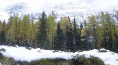 landscape_snow_02.jpg