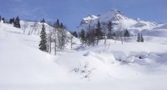 landscape_snow_07.jpg