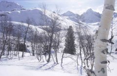 landscape_snow_09.jpg