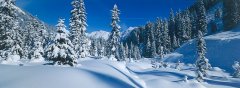 landscape_snow_24.jpg