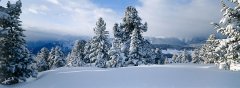 landscape_snow_29.jpg