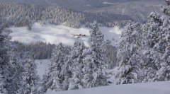landscape_snow_31.jpg