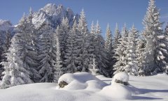 landscape_snow_35.jpg