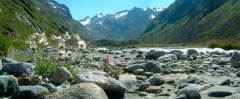 mountains_green_002.jpg