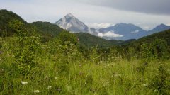 mountains_green_081.jpg