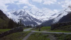 mountains_green_090.jpg