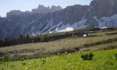 mountains_green_094.jpg