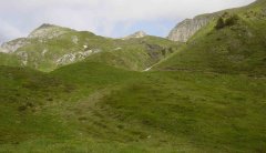 mountains_green_098.jpg