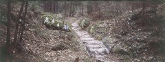 bridge_road_07.jpg
